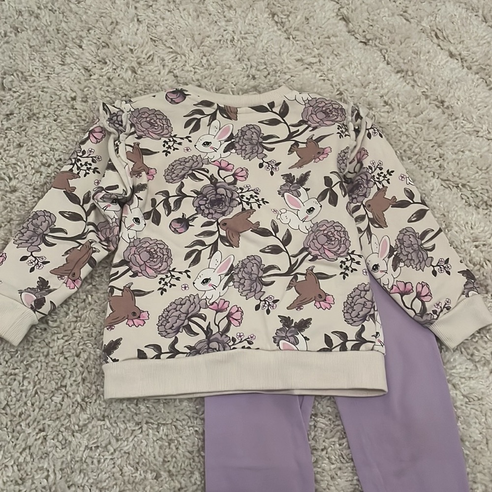 H&M Ruffled Sweatshirt & Carter’s Leggings - Picture 5 of 7